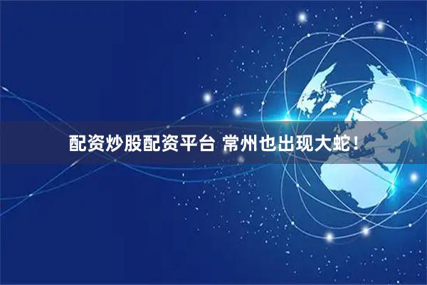 配资炒股配资平台 常州也出现大蛇！